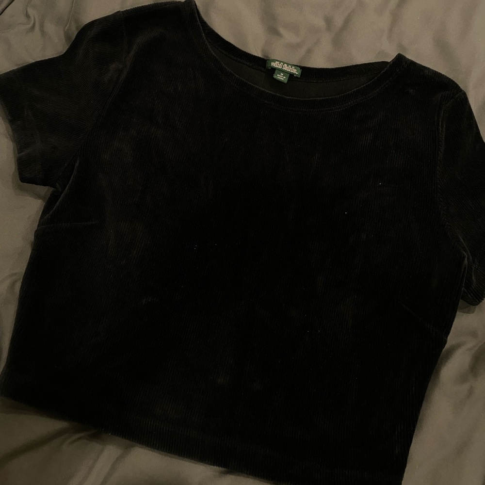 Wild Fable Velvet Crop Top